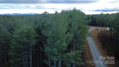 Come be a part of this wonderful gated lake community located by - photo 8