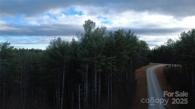 Come be a part of this wonderful gated lake community located by - photo 10