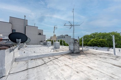 Well maintented 5,712 sqft brock big six family at the center of - photo 11