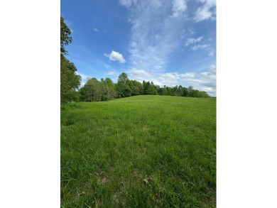 Lake Acreage For Sale in Albany, Kentucky