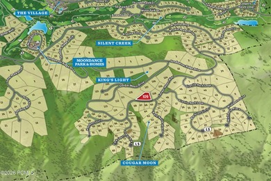 Exceptional Lot in Cougar Moon! Lot #109 is a spectacular 1 - photo 12