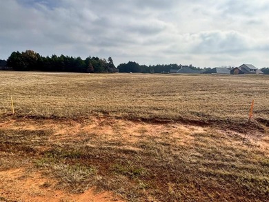 Lake Texoma Lot For Sale in Gordonville Texas