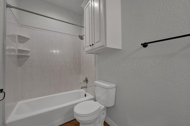 Beautifully updated home in the highly sought-after Spring Lake - photo 33