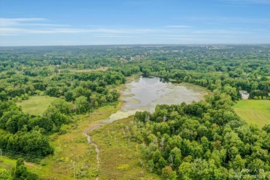 (private lake, pond, creek) Acreage For Sale in Manchester Michigan