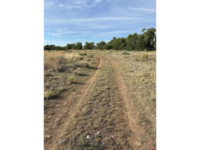 (private lake, pond, creek) Lot For Sale in Capulin Colorado