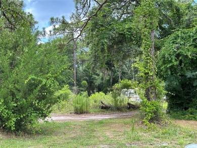 Discover your slice of paradise in unincorporated Citrus County - photo 11