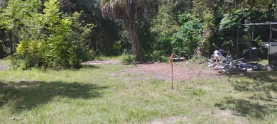 Discover your slice of paradise in unincorporated Citrus County - photo 29