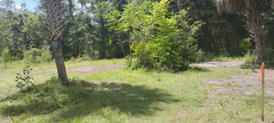 Discover your slice of paradise in unincorporated Citrus County - photo 31