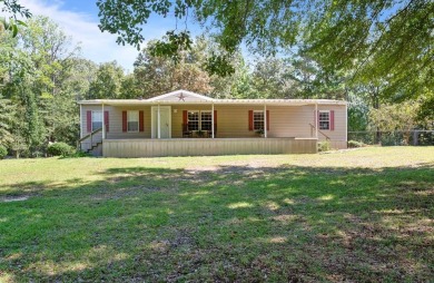 Lake Eufaula / Walter F George Reservoir Home For Sale in Abbeville Alabama