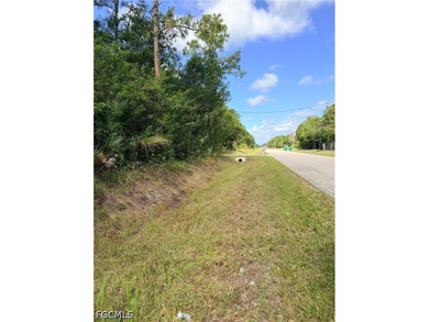 Perfect location. Easy access to Immokalee, Ave Maria, Arthrex - photo 2