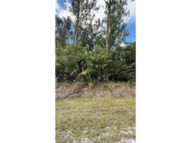 Perfect location. Easy access to Immokalee, Ave Maria, Arthrex - photo 3