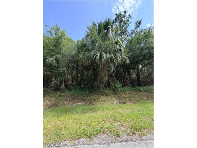 Perfect location. Easy access to Immokalee, Ave Maria, Arthrex - photo 5