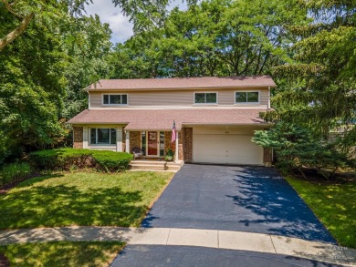 Lake Home For Sale in Lake Zurich, Illinois