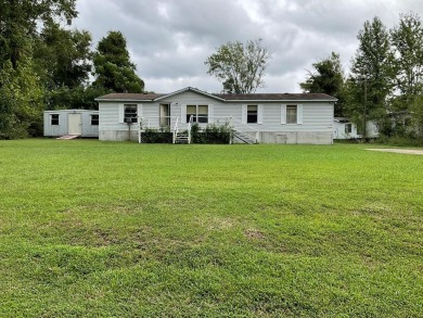 Lake Eufaula / Walter F George Reservoir Home For Sale in Eufaula Alabama