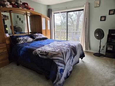 Seasonal Lakeview of Crown Lake from Primary bedroom and deck - photo 15
