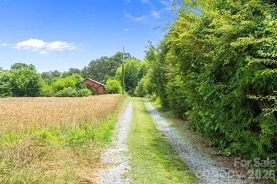 A truly rare opportunity to own a custom-built farmhouse on 10 - photo 34