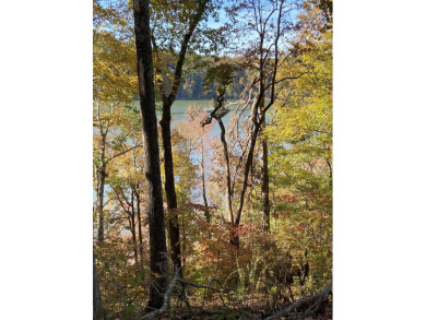 Kentucky Lake Lot For Sale in Stewart Tennessee