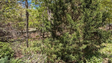 Seasonal Lakeview of Crown Lake from Primary bedroom and deck - photo 42