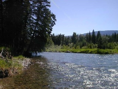 (private lake, pond, creek) Acreage For Sale in Bigfork Montana
