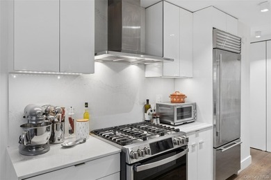 Beautifully Renovated Deluxe One-Bedroom with Oversized Balcony - photo 9