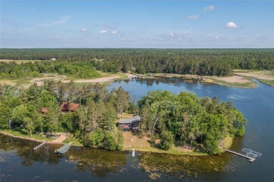 Lake Home For Sale in Ideal Twp, Minnesota