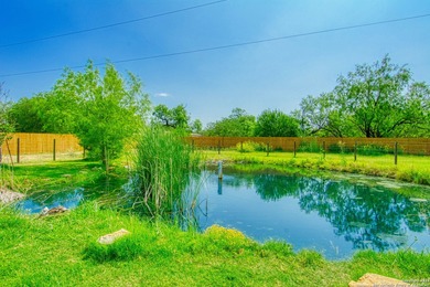 (private lake, pond, creek) Home For Sale in Elmendorf Texas