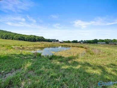 Exceptional 89+/- acre farm in Cherokee, AL featuring - photo 18