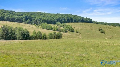 Exceptional 89+/- acre farm in Cherokee, AL featuring - photo 19