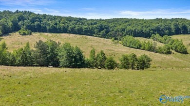 Exceptional 89+/- acre farm in Cherokee, AL featuring - photo 21