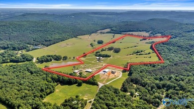 Exceptional 89+/- acre farm in Cherokee, AL featuring - photo 29