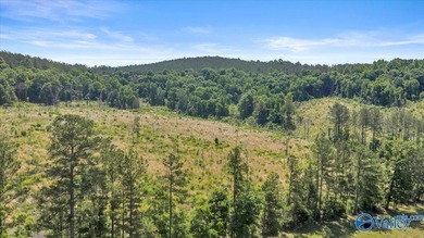 Exceptional 89+/- acre farm in Cherokee, AL featuring - photo 36