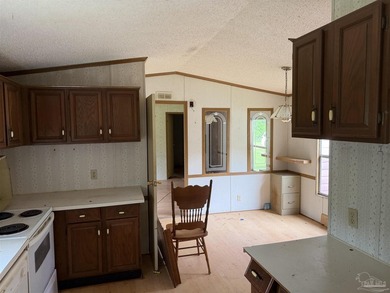This 5.87-acre LDR-zoned property offers a quiet country setting - photo 36
