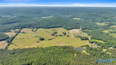 Exceptional 89+/- acre farm in Cherokee, AL featuring - photo 37