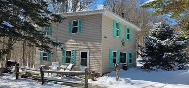 (private lake, pond, coastal) Home For Sale in Genesee Pennsylvania