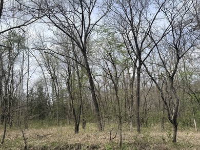 This is beautiful place here in Camden county Mo!! 41.64 acres - photo 11