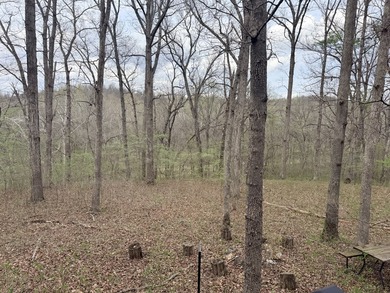 This is beautiful place here in Camden county Mo!! 41.64 acres - photo 12