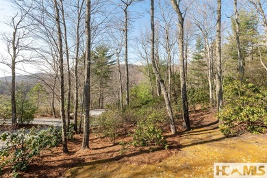 Located in the mountains of Sapphire with a wonderful mountain - photo 16