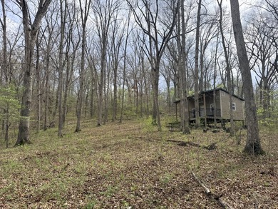 This is beautiful place here in Camden county Mo!! 41.64 acres - photo 16