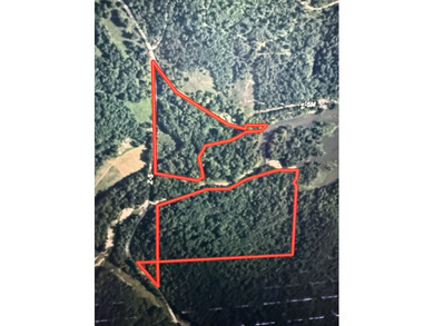 This is beautiful place here in Camden county Mo!! 41.64 acres - photo 19