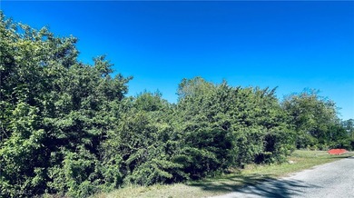 Lehigh Acres Area Lot For Sale in Lehigh Acres Florida