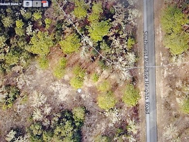 Bonable Lake Lot For Sale in Dunnellon Florida