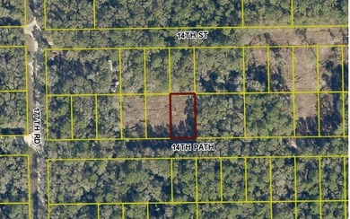 Suwannee River Lot For Sale in Live Oak Florida