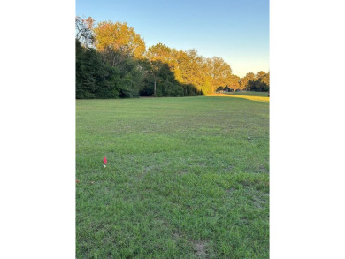 Lake Eufaula / Walter F George Reservoir Lot For Sale in Eufaula Alabama