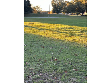 Build your dream home on this nice lot in the Country Club of - photo 4