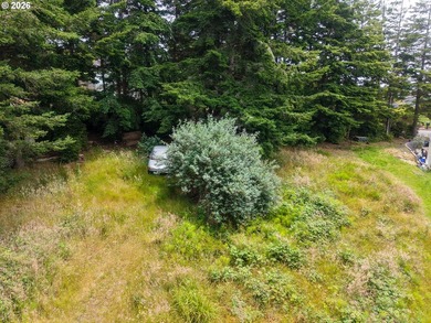 Ocean and bay view lot with utilities already in place! This - photo 11