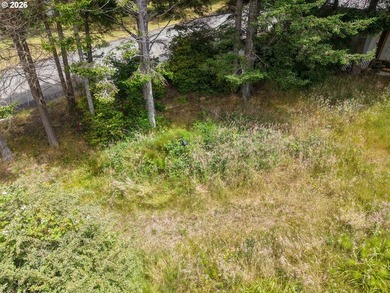 Ocean and bay view lot with utilities already in place! This - photo 12