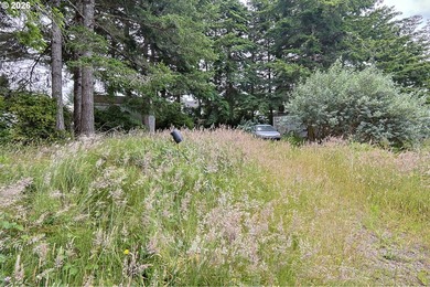 Ocean and bay view lot with utilities already in place! This - photo 16