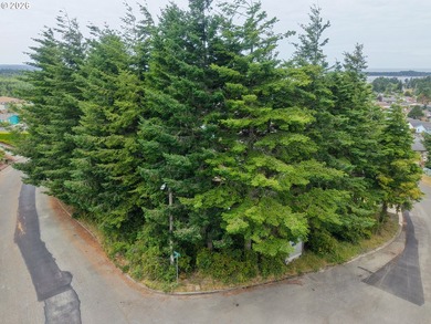 Ocean and bay view lot with utilities already in place! This - photo 18