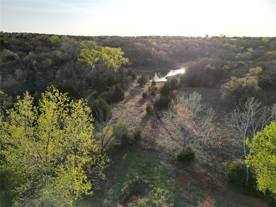 Top-tier development/investment potential! This vast wooded - photo 8