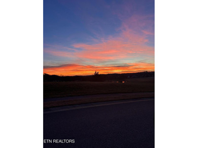 RARE TENNESSEE NATIONAL OPPORTUNITY! HOME + ADJACENT LOT - photo 48